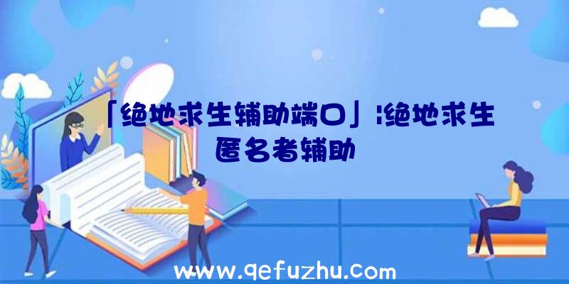 「绝地求生辅助端口」|绝地求生匿名者辅助